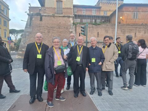 Equip Sinodal de Menorca a Roma