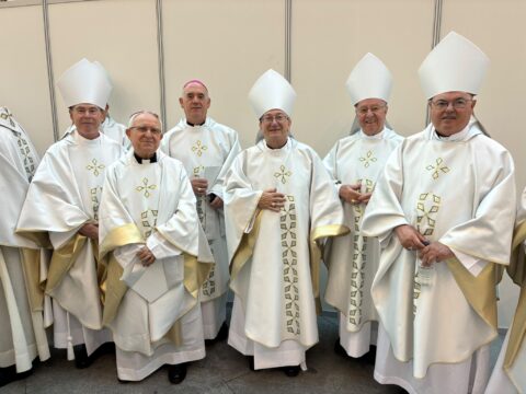 Viatge apostòlic del Papa Lleó XIV (6-12 de juny)