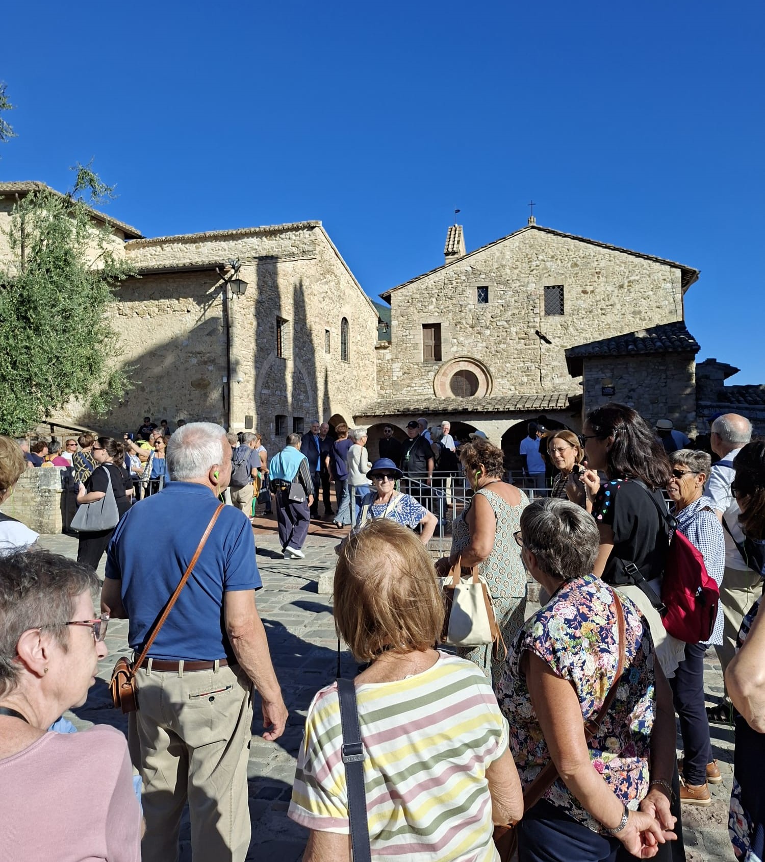 Peregrinació diocesana a Assís. Setembre 2026