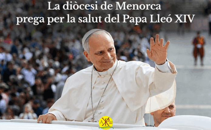 Papa Lleó XIV. Curs 2026-27