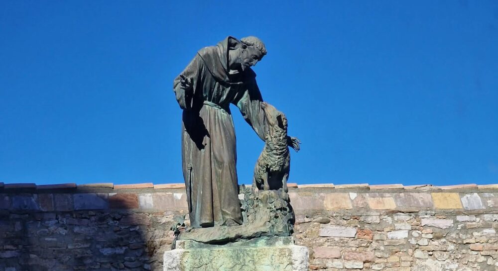 Sant Francesc d'Assís. Raons d'esperança curs 2026-27