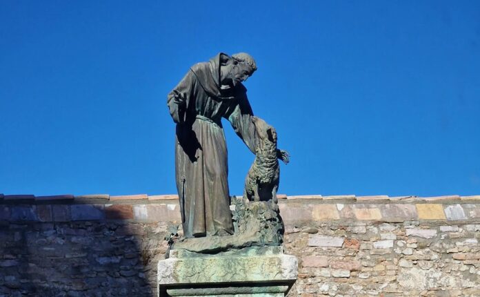 Sant Francesc d'Assís. Raons d'esperança curs 2026-27
